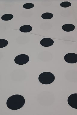 20260125_165012 20260125_165012