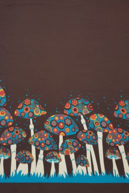 20190129_112431-1